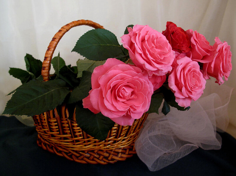 Roses in a wicker basket
