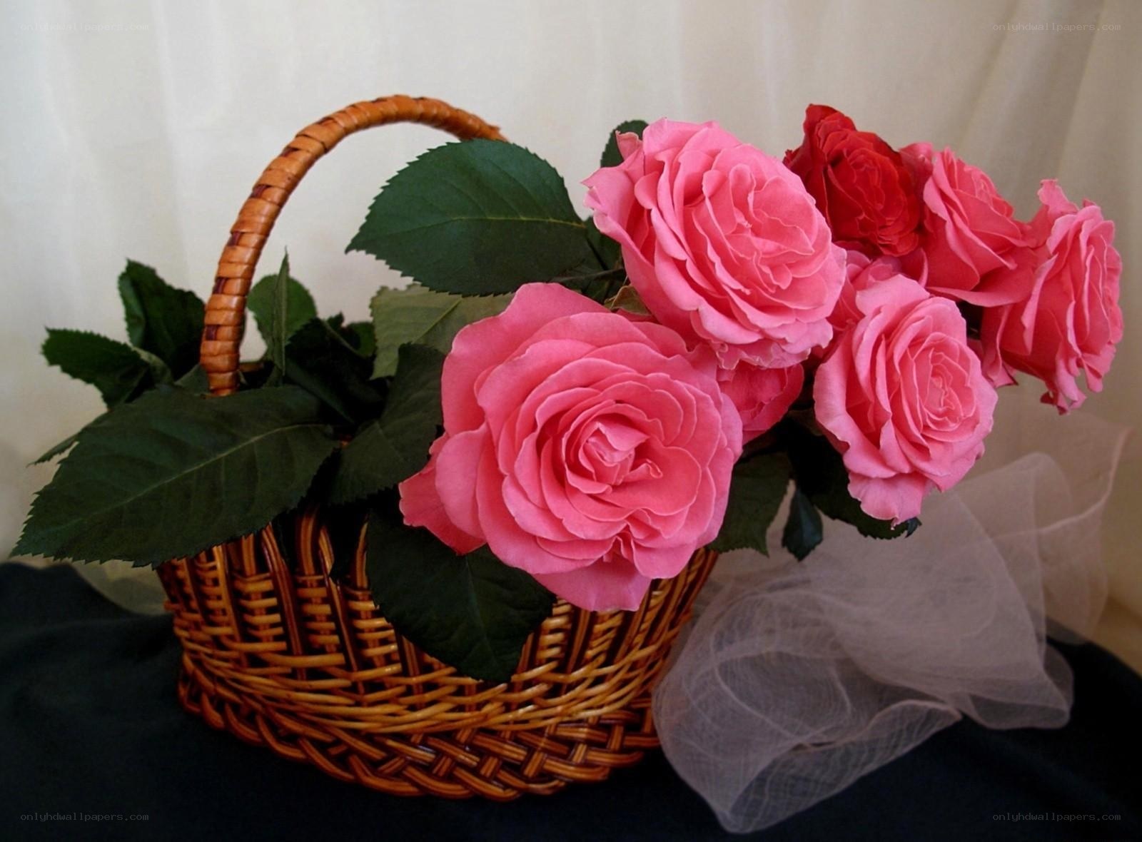 Roses in a wicker basket