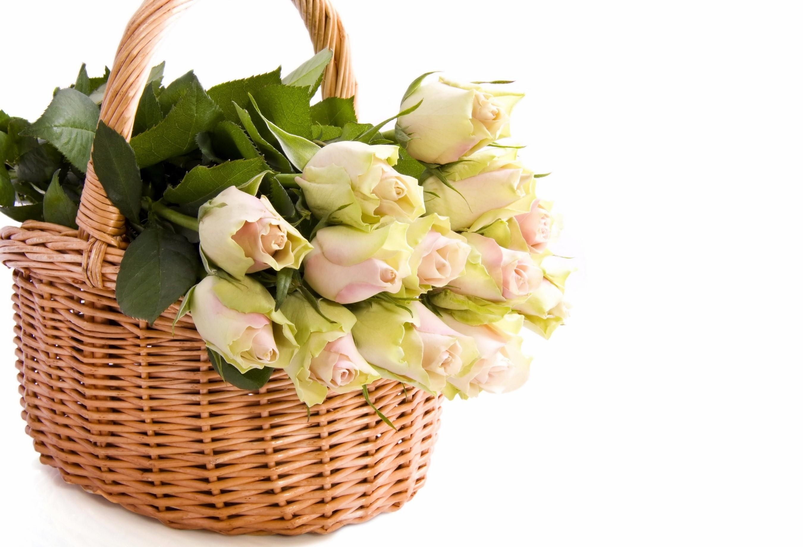 roses in a wicker basket