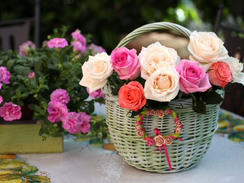 Roses in a Wicker Basket — Pink