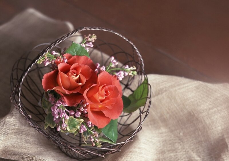 Roses in a wire basket