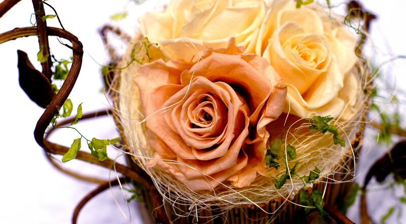 Roses in Basket
