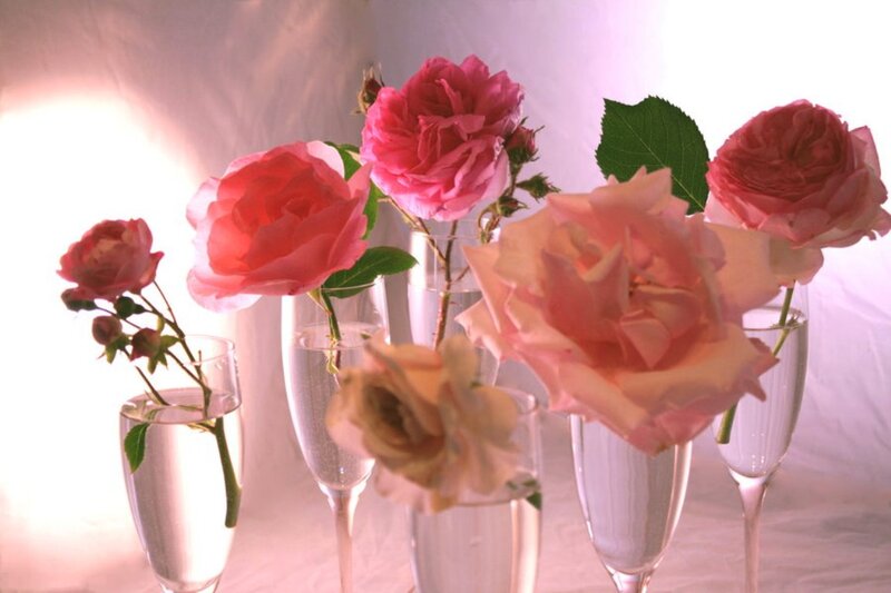 Roses in Champagne Flutes