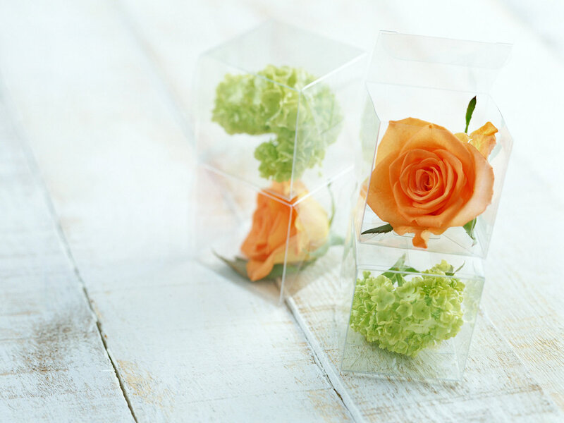 Roses in Clear Boxes