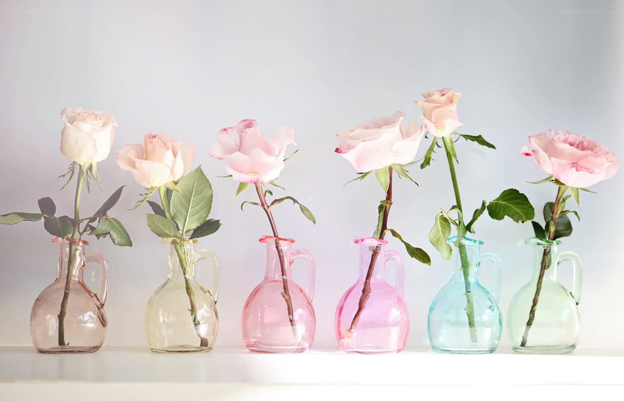 roses in colored vases