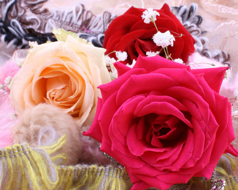 Roses in Floral Arrangement