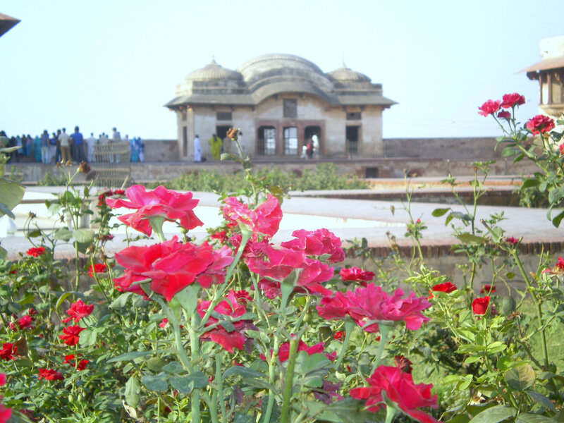 Roses in front of a historic building