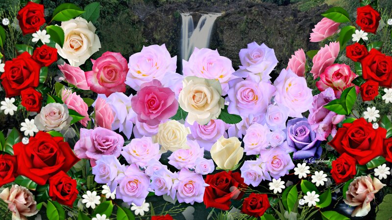Roses in Front of Waterfall