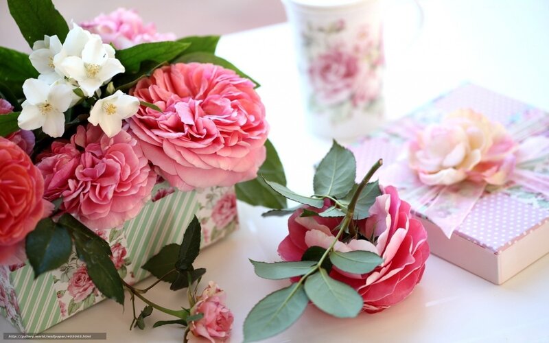 Roses in Gift Box — Pink, Serene
