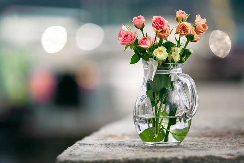 Roses in Glass Pitcher — Pink
