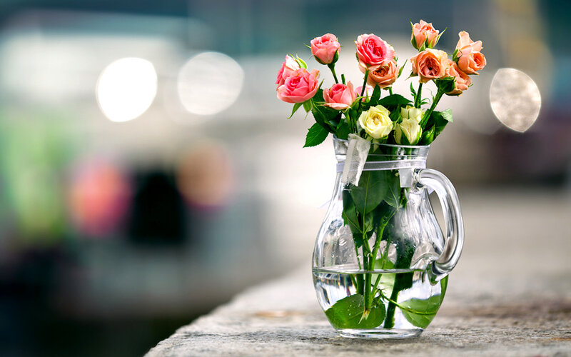 Roses in Glass Pitcher