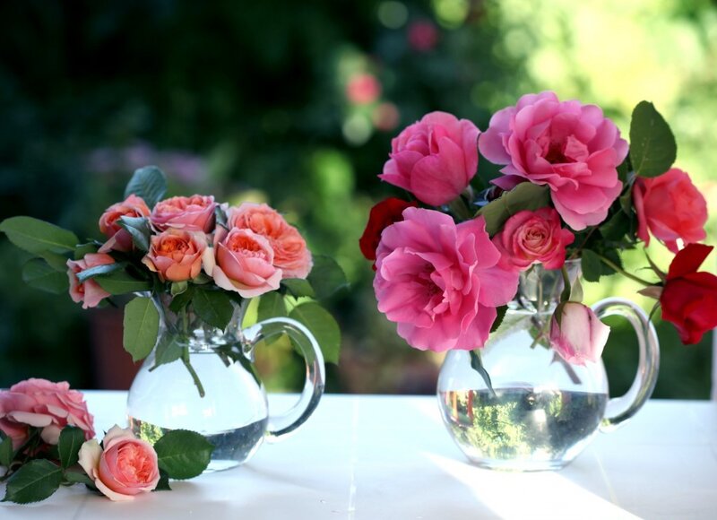 Roses in Glass Pitchers — Pink