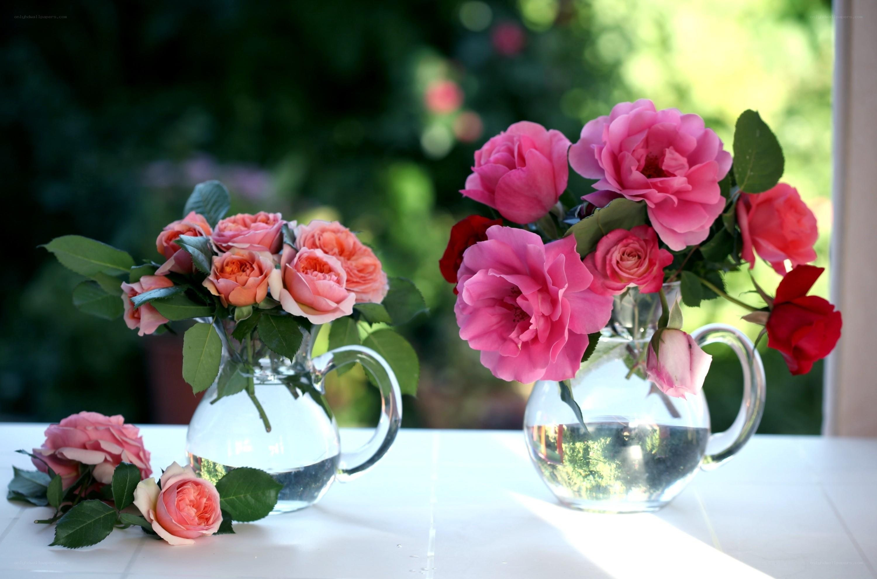 Roses in glass pitchers