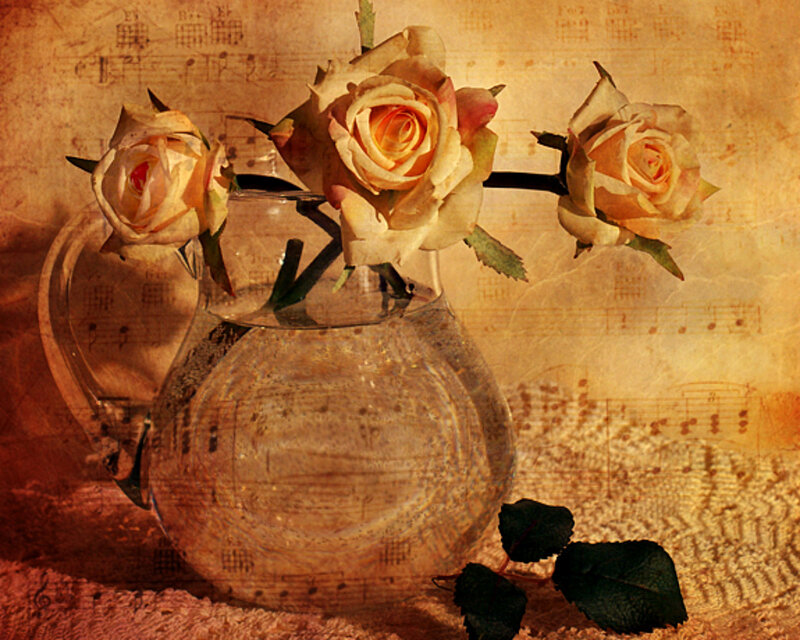Roses in Glass Vase — Brown