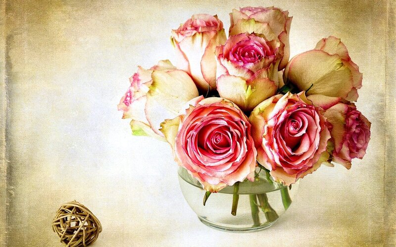 Roses in Glass Vase — Pink, Serene
