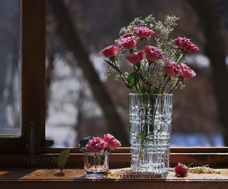Roses in Glass Vases — Pink, Serene, Winter