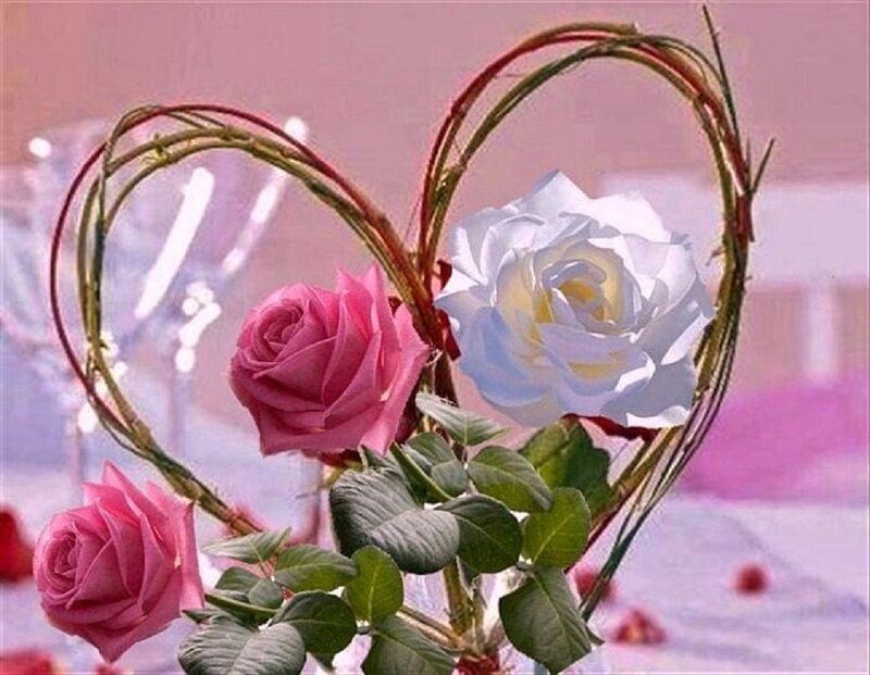 Roses in Heart Frame