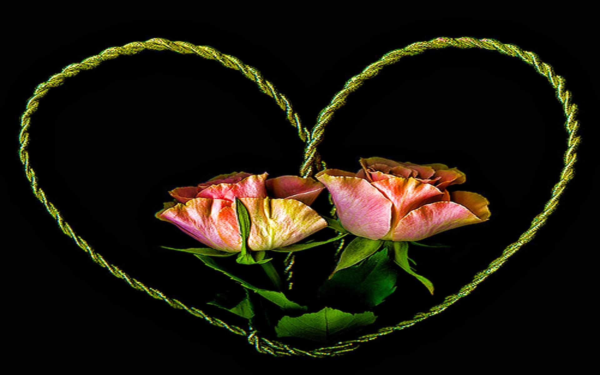 roses in heart shape
