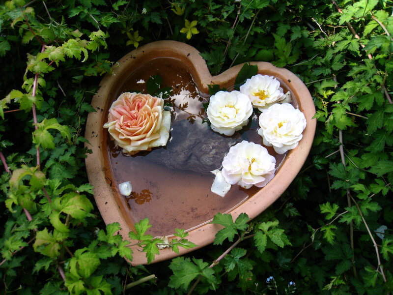 Roses in Heart-shaped Bowl