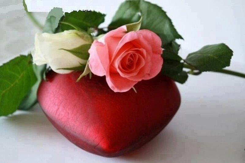 Roses in Heart Vase