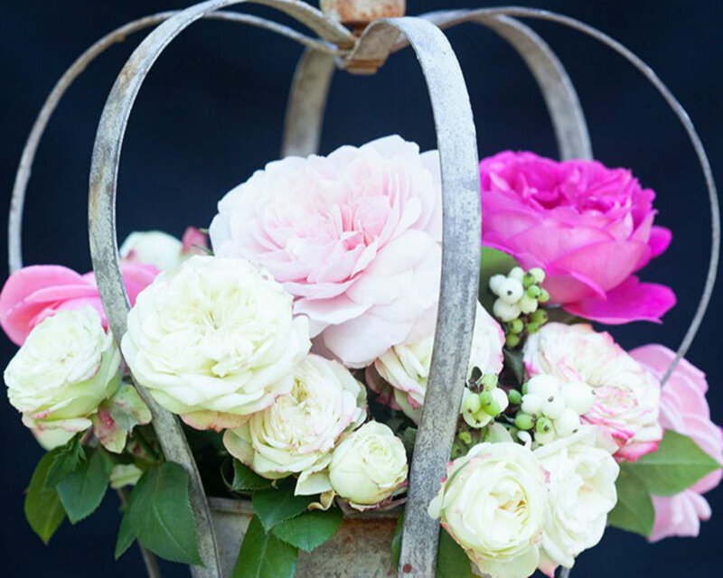 Roses in Metal Basket