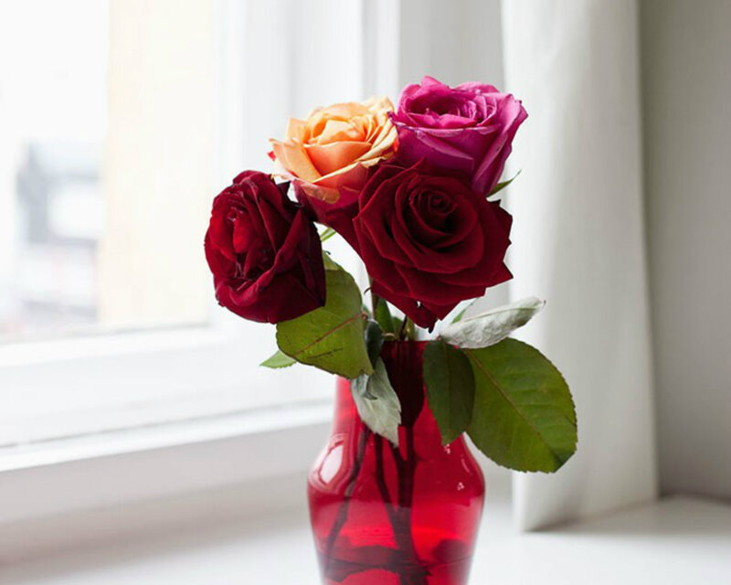 Roses in Red Vase — Serene