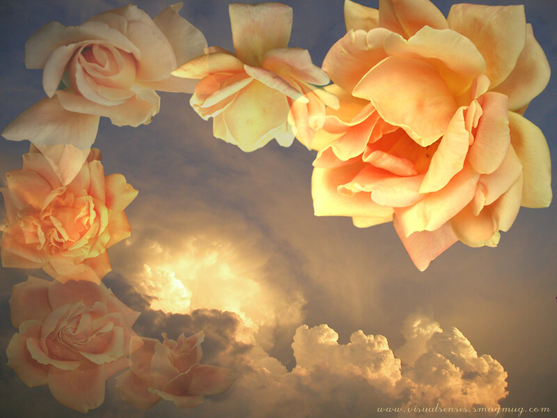 Roses in Sky Frame