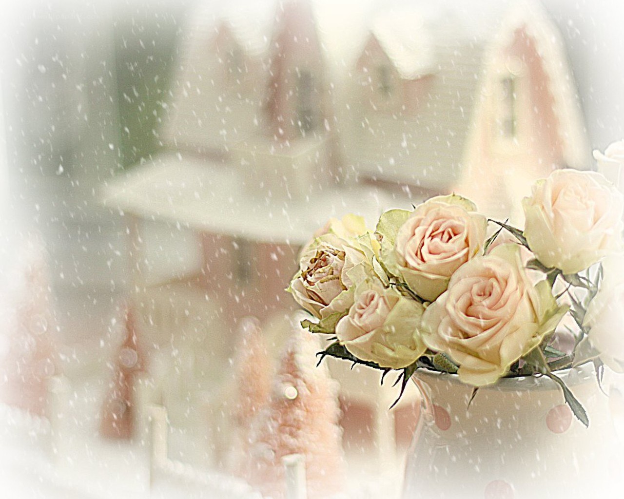 roses in snowfall