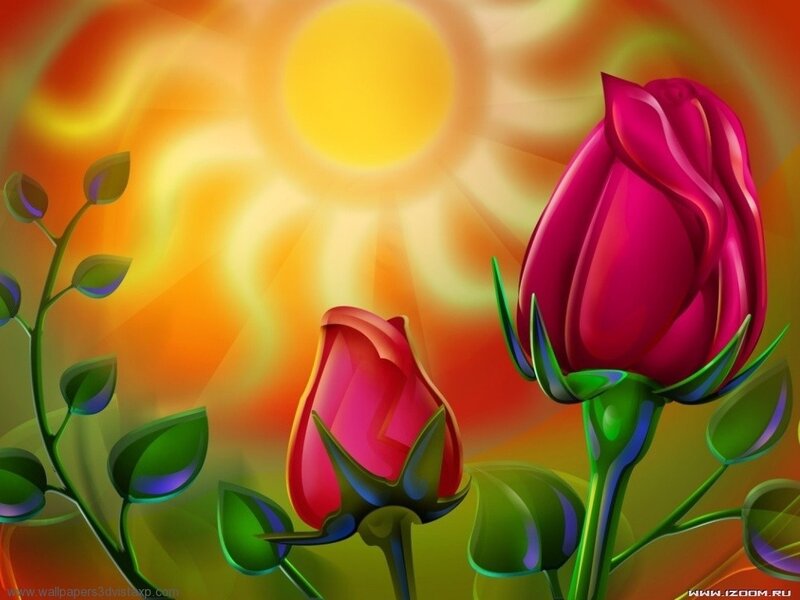 roses in sunlit garden