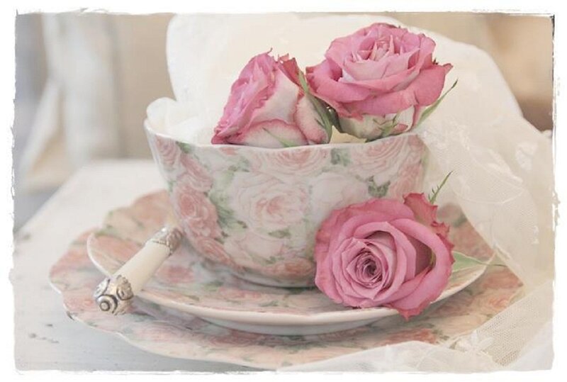 Roses in Teacup — Pink, Serene, Photograph