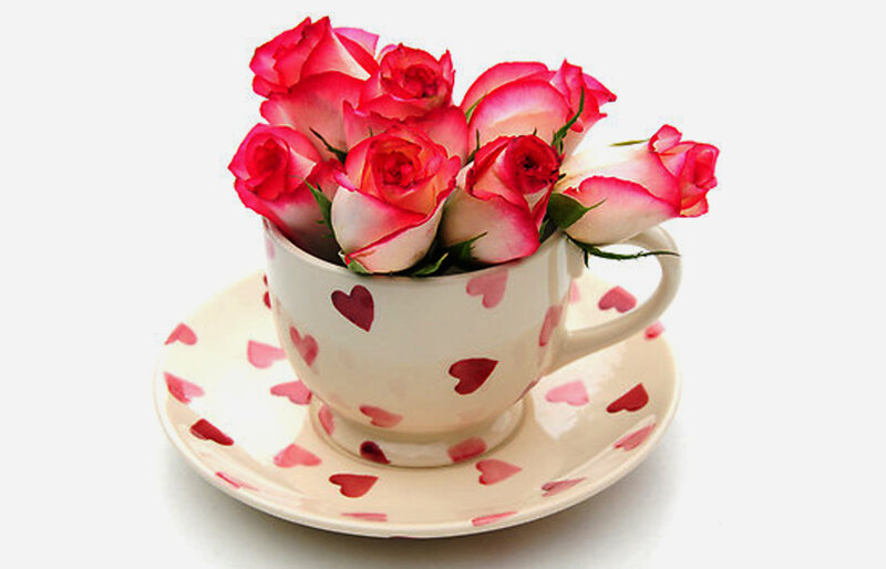 Roses in Teacup — Pink