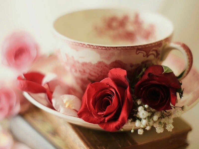 Roses in Teacup