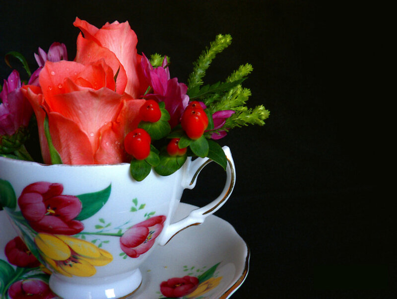 Roses in Teacup — White, Dramatic