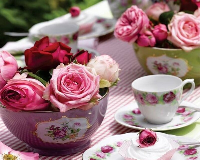 Roses in Teacups — Pink, Serene