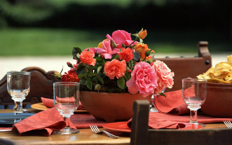 Roses in Terracotta Pot