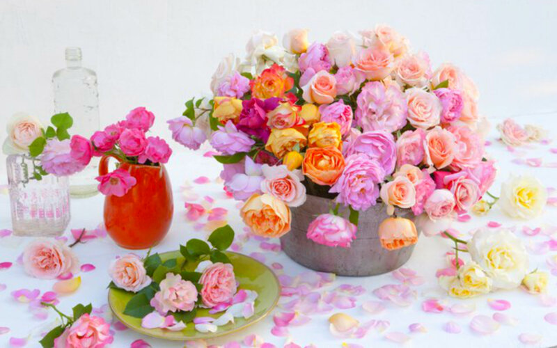 Roses in Vases and on Table