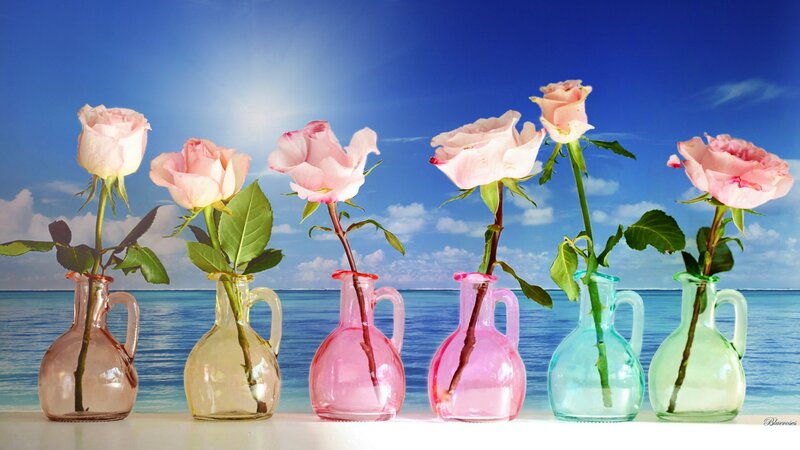 Roses in Vases — Blue, Serene