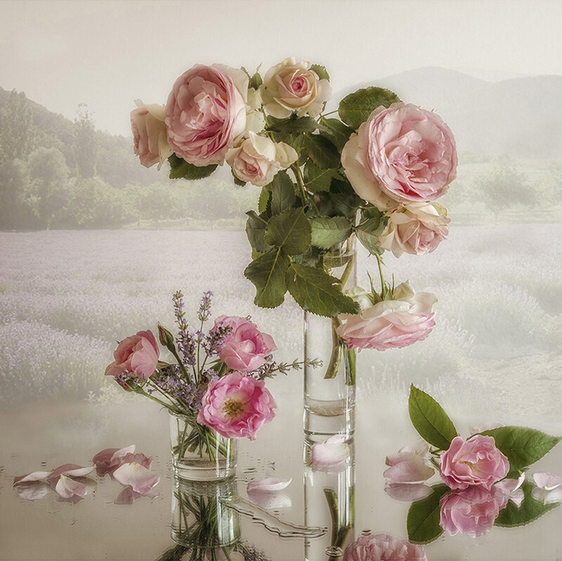 Roses in Vases — Pink, Serene, Afternoon