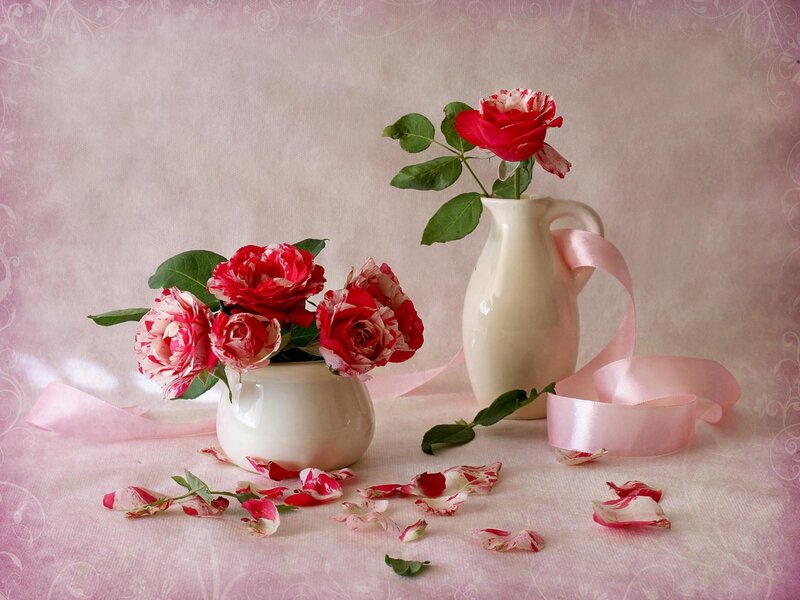 Roses in Vases — Pink, Serene, Photograph, Ribbons