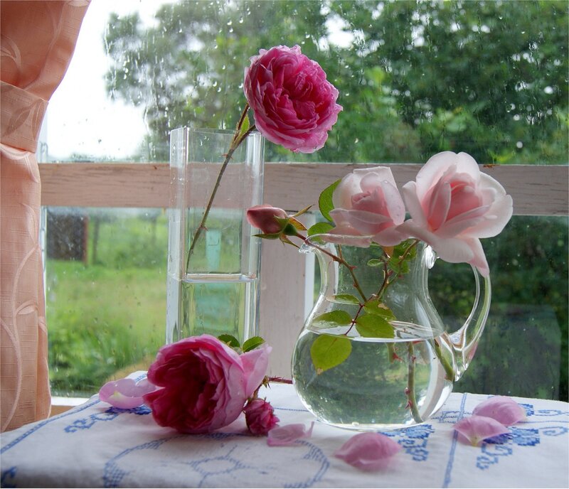 Roses in Vases — Pink, Serene, Spring