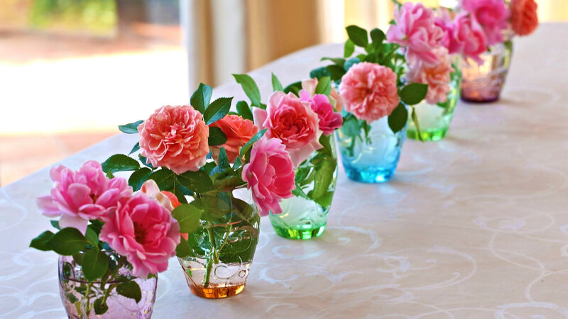 Roses in Vases — Pink, Serene