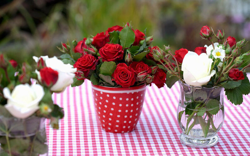 Roses in Vases — Red, Calm