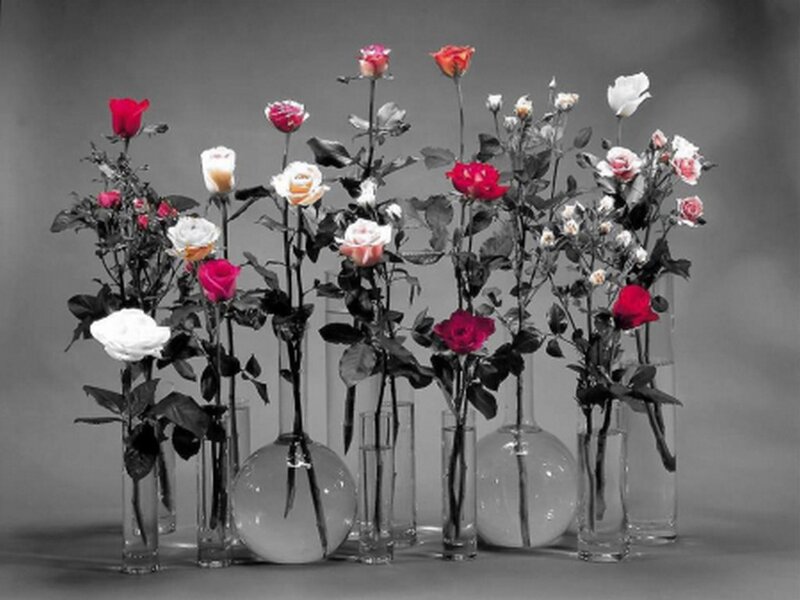 Roses in Vases — Red