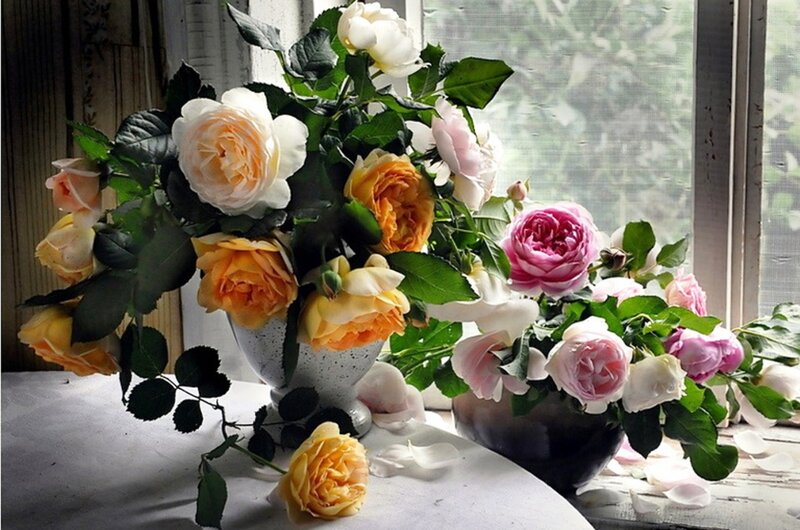 Roses in Vases — White