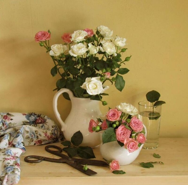 Roses in Vases — Yellow, Calm