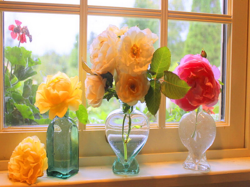 Roses in Vases — Yellow, Serene, Morning