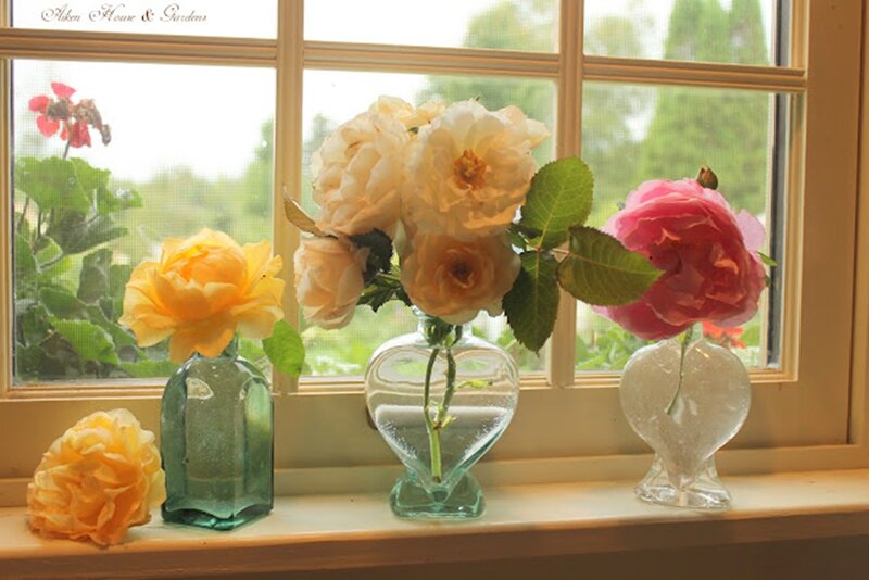 Roses in Vases — Yellow