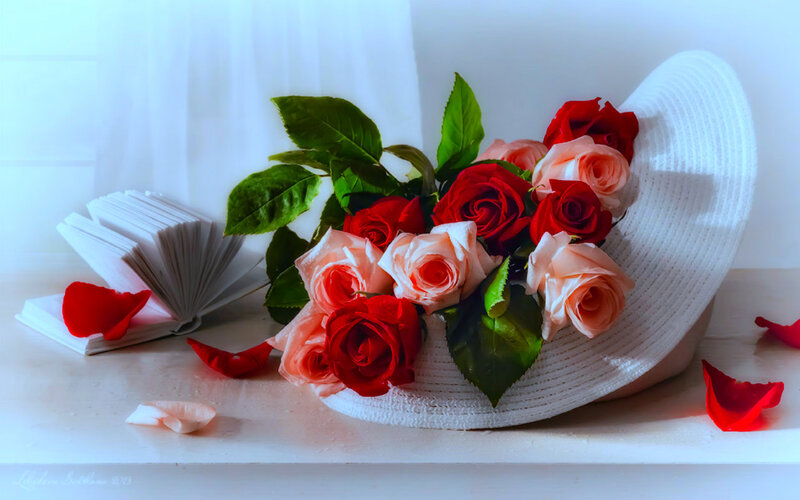 Roses in White Hat