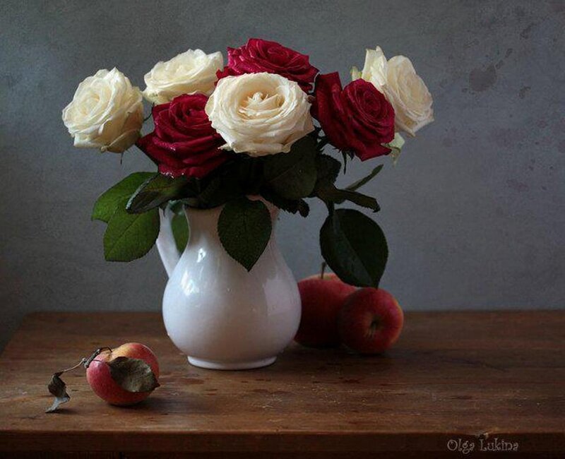 Roses in White Pitcher — Calm