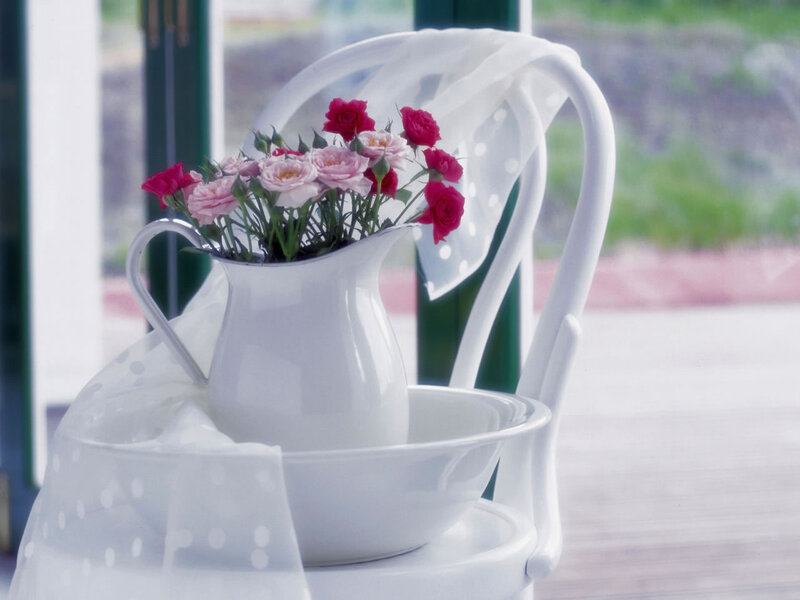 Roses in White Pitcher — Serene